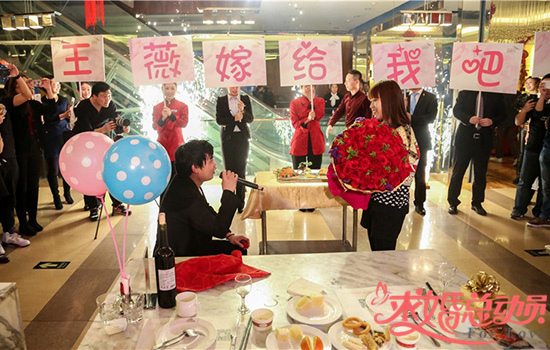 萌狗公仔餐厅创意求婚