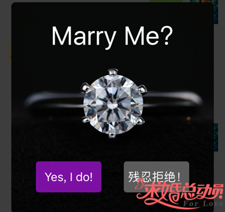 码农独创另类求婚，YES I DO